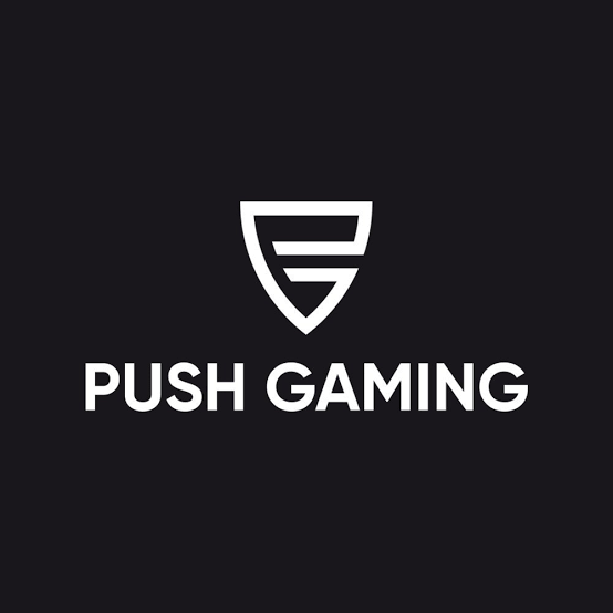 Push Gaming logo